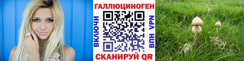 Псилоцибиновые грибы ЛСД где можно купить Темников